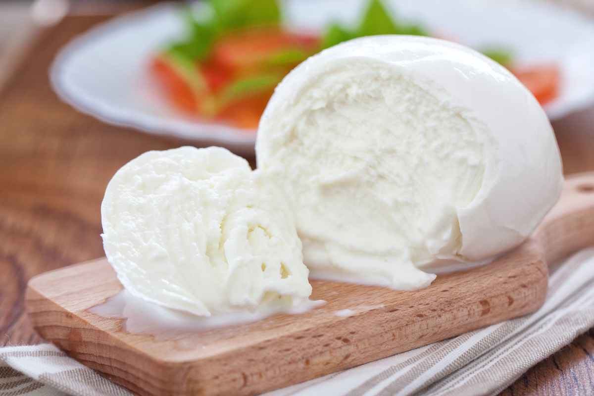 mozzarella